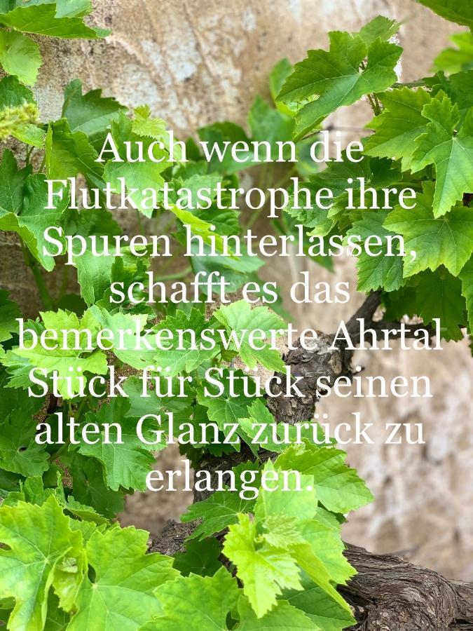 Auszeit Im Ahrtal Διαμέρισμα Bad Neuenahr-Ahrweiler Εξωτερικό φωτογραφία